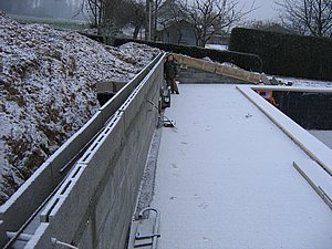 IMG_3135.jpg