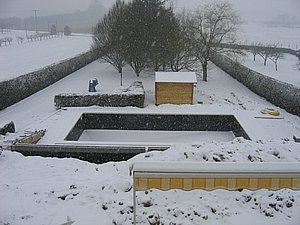 IMG_3137.jpg