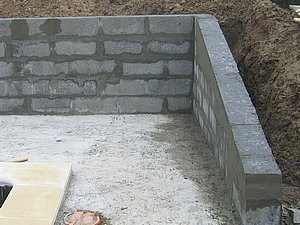 IMG_3144.jpg