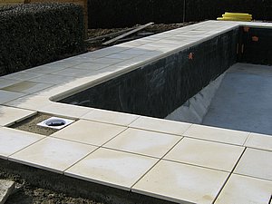 IMG_3159.jpg