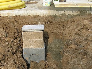 IMG_3161.jpg