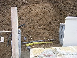 IMG_3366.jpg