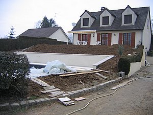 IMG_3379.jpg