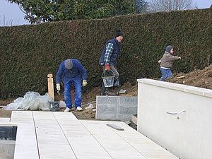 IMG_3383.jpg