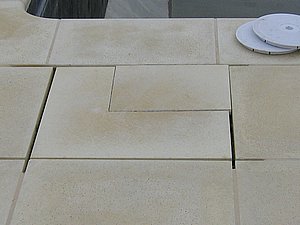 IMG_3392.jpg