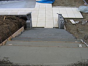 IMG_3397.jpg