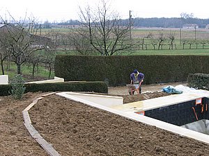IMG_3417.jpg