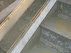 IMG_3441.jpg