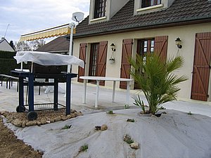 IMG_3585.jpg
