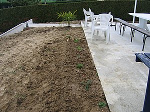 IMG_3587.jpg