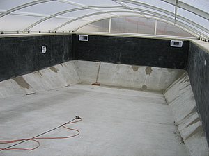 IMG_3623.jpg