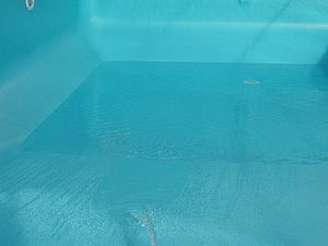 IMG_3663.jpg