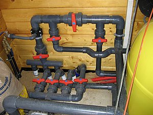 IMG_3675.jpg