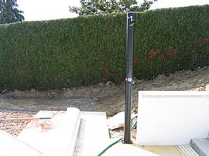 IMG_3679.jpg