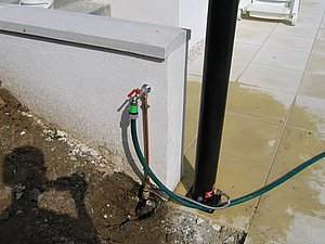 IMG_3680.jpg